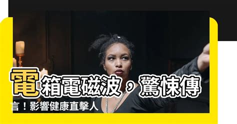 電箱 電磁波 虞美人分析